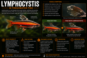 Fish Diseases – Tagged 